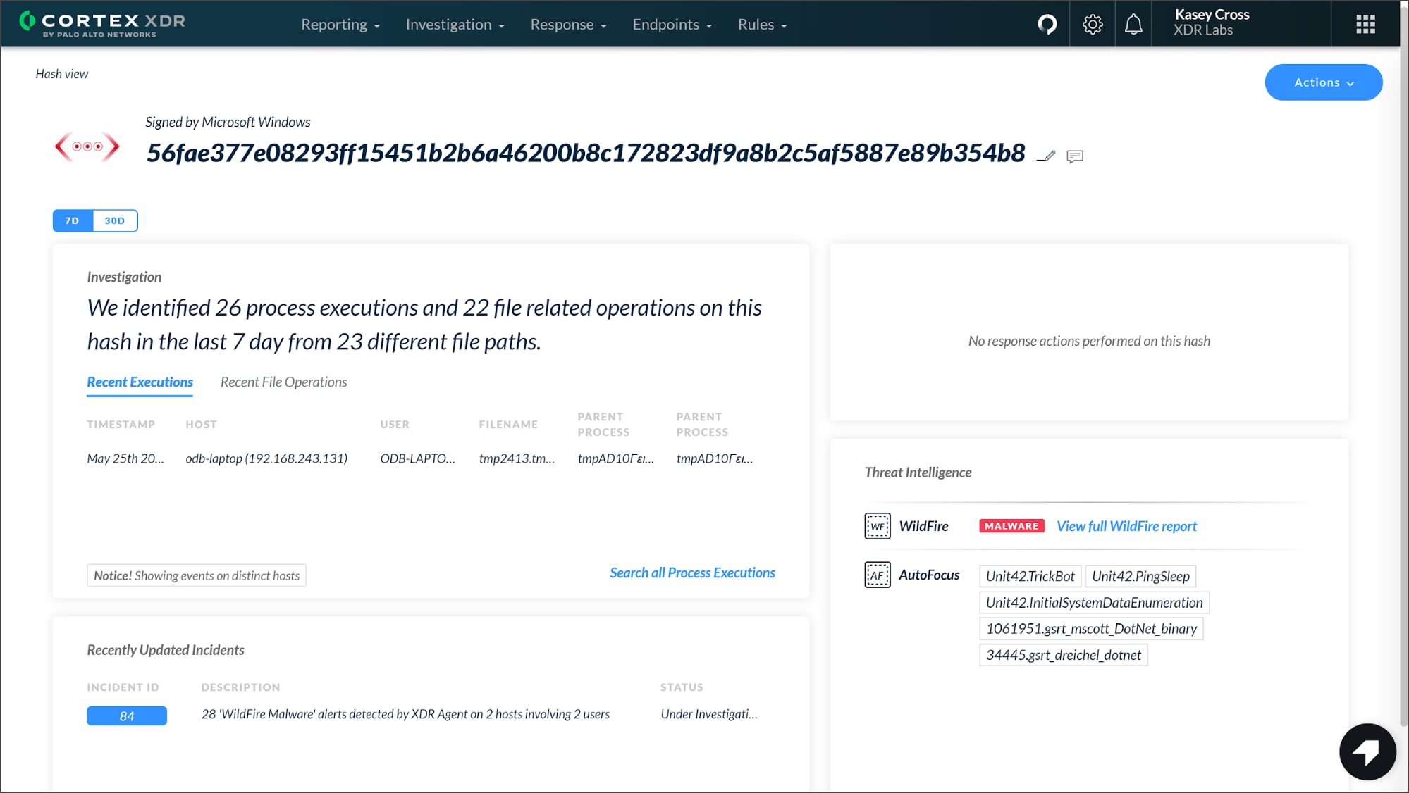 This screenshot shows the Hash View in Cortex XDR 2.4