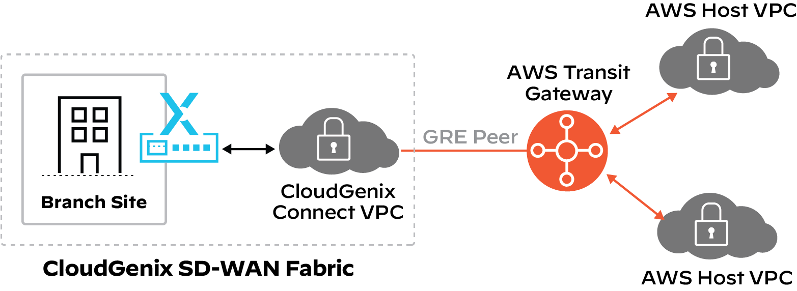 Native integration between CloudGenix SD-WAN and the AWS Transit Gateway Connect to automate connectivity to the Amazon VPCs