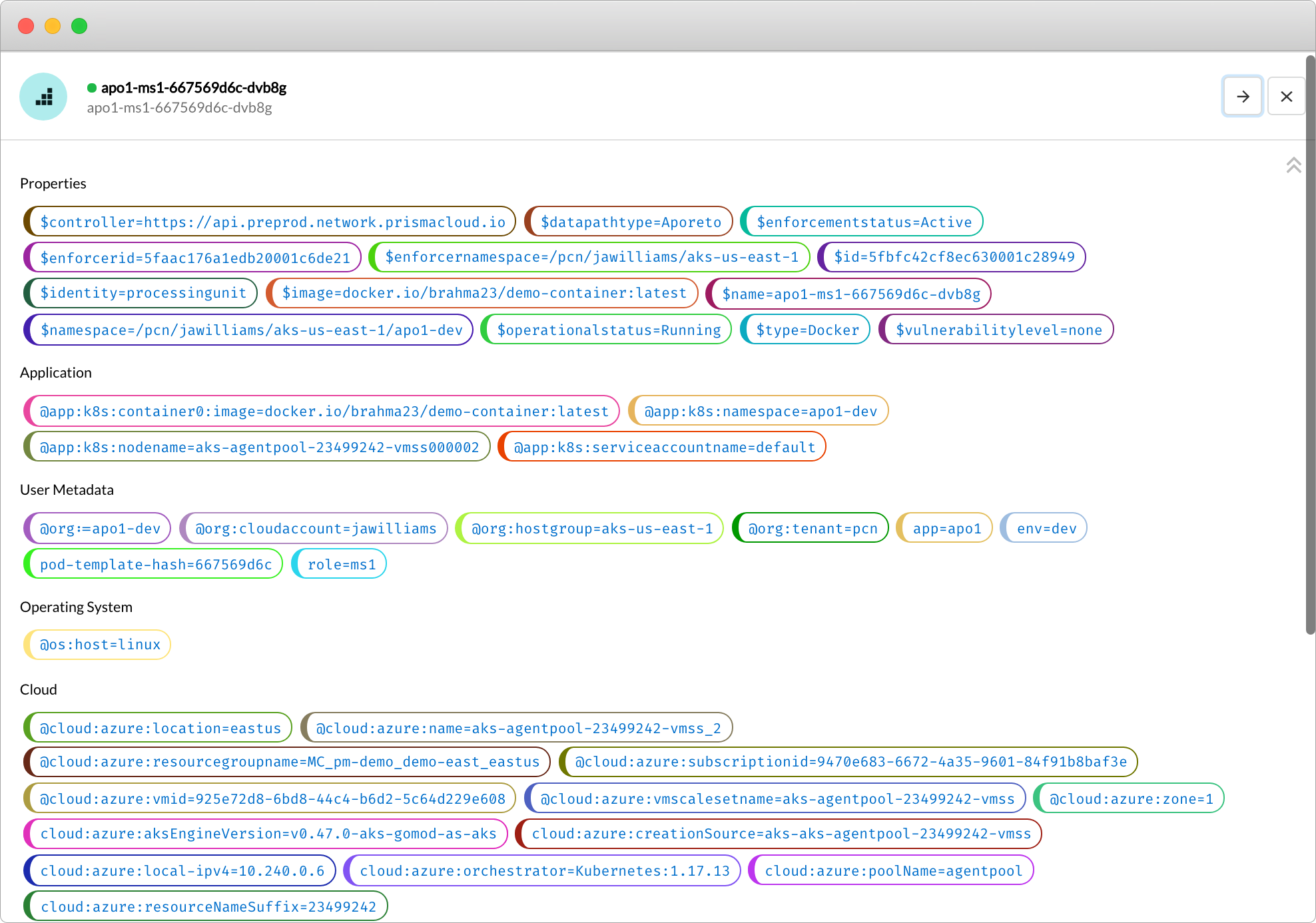 Workload Identity Attributes