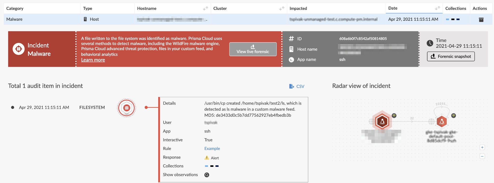 Malicious executable and linkable format (ELF) file detected on a host