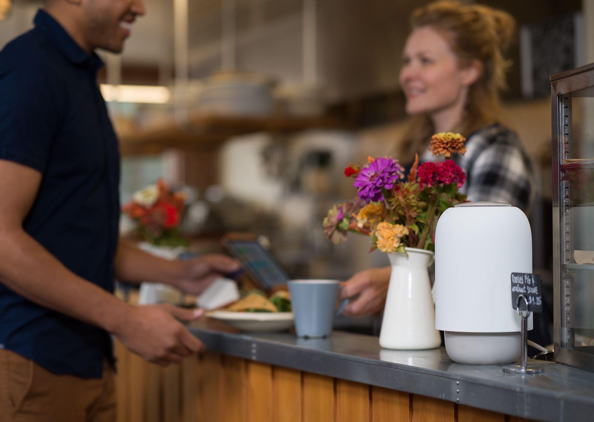 Okyo Garde sits on the counter at a small business.