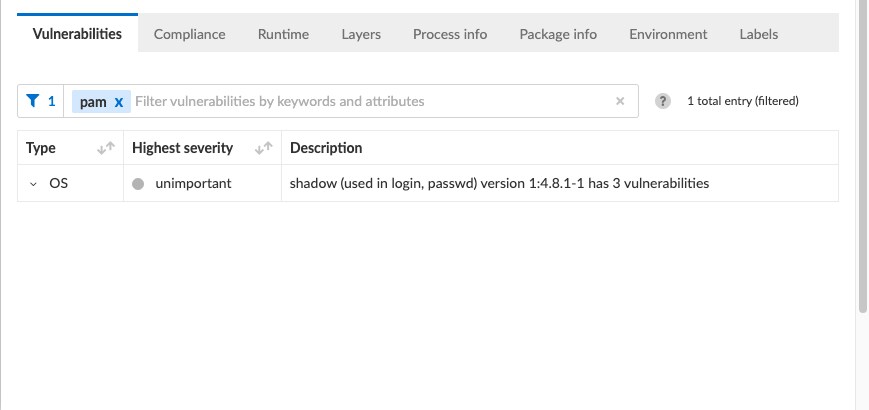     Figure 12. Prisma Cloud vulnerable package view 