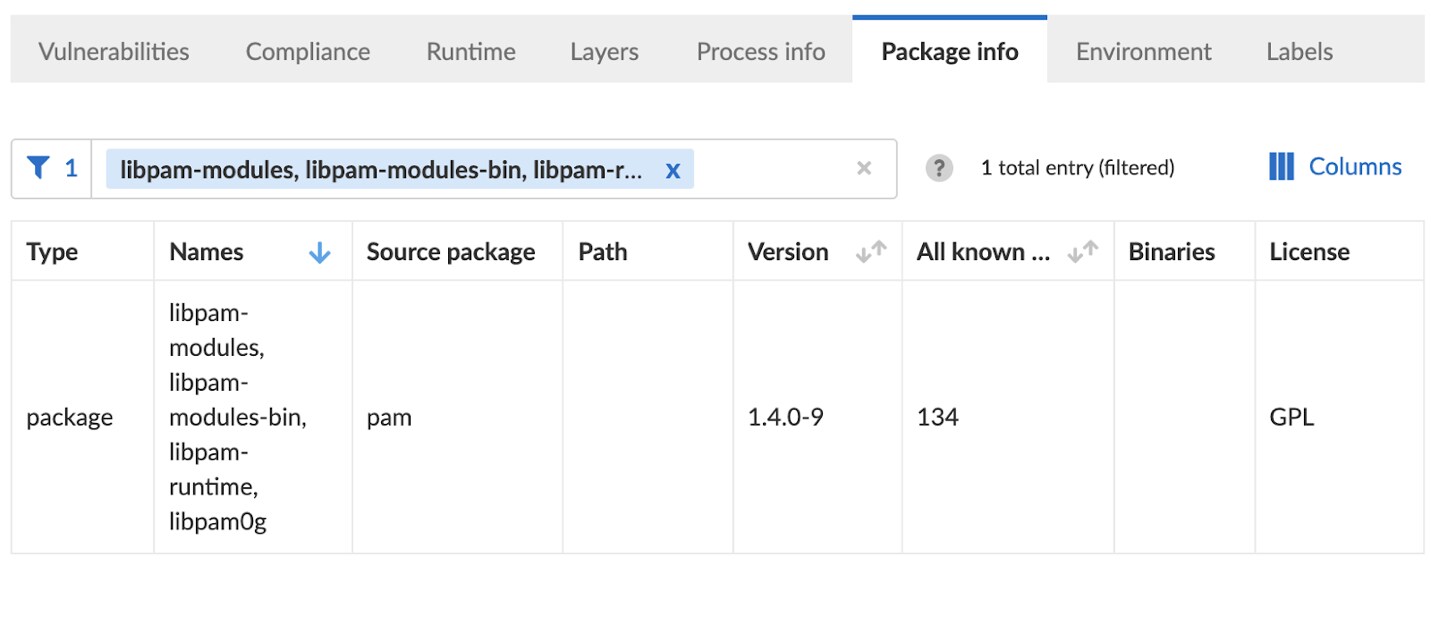 Figure 1. Prisma Cloud package information