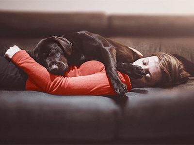 A SASE Solution That’s as Flexible as Your Hybrid Workforce