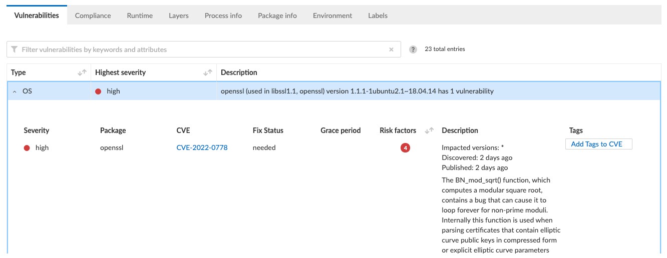 Prisma Cloud provides details describing the nature of the vulnerability and what the specific risks are