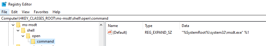 (Figure 1 - ms-msdt protocol handler definition in registry)