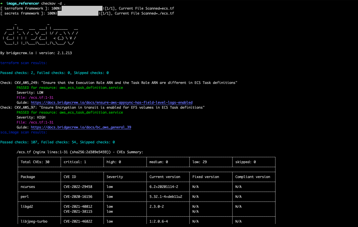 Image vulnerabilities surfaced in Checkov.