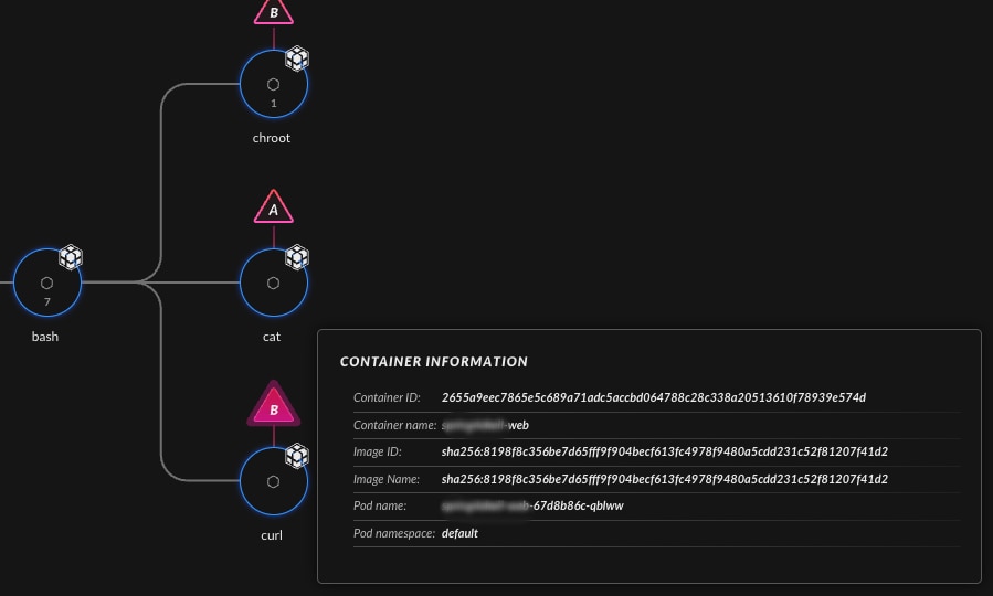 View of container and image metadata tracing the origin to a specific image in the registry