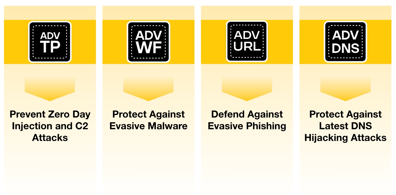 CDSS services prevent zero day injection, evasive malware, phishing, DNS hijacking attacks.