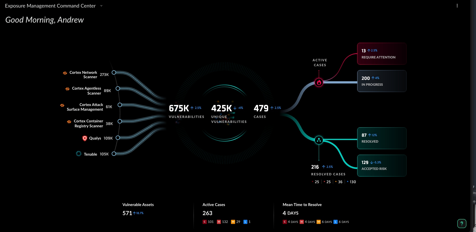 Figure 4. Vulnerability Management dashboard