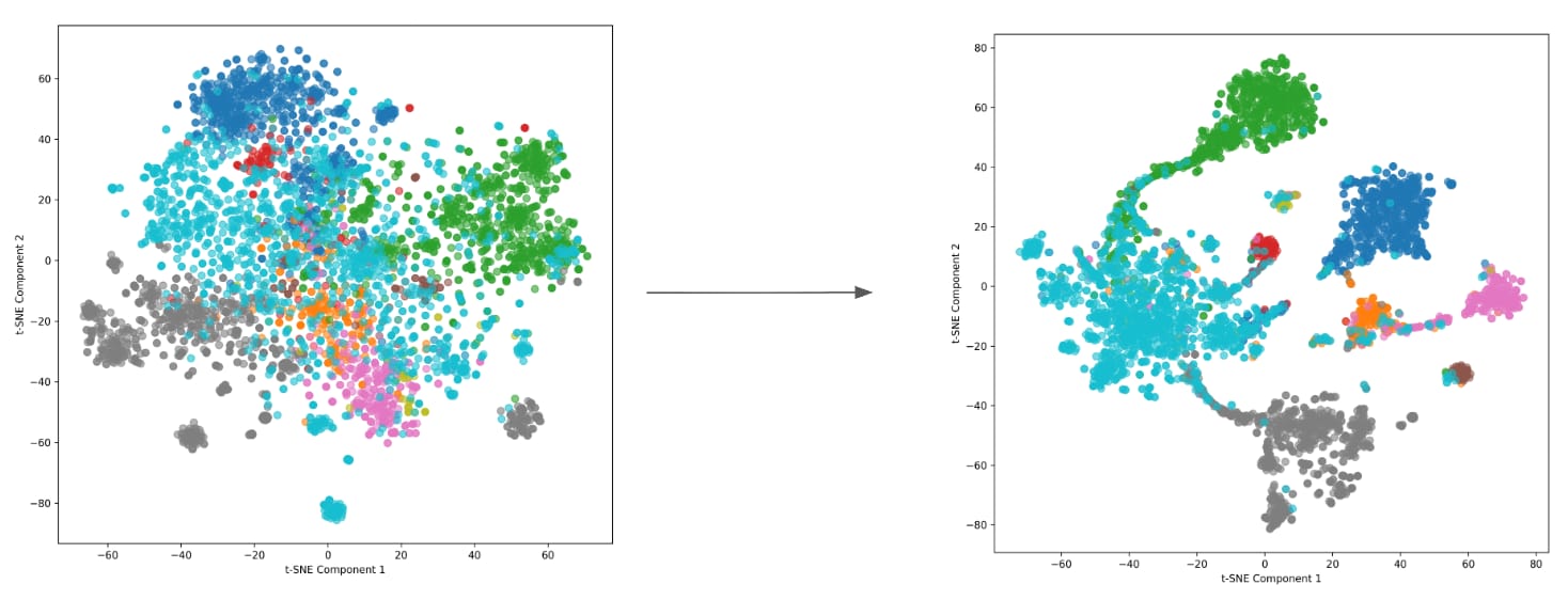 Visualization from scattered embeddings to well-defined semantic clusters after proper training