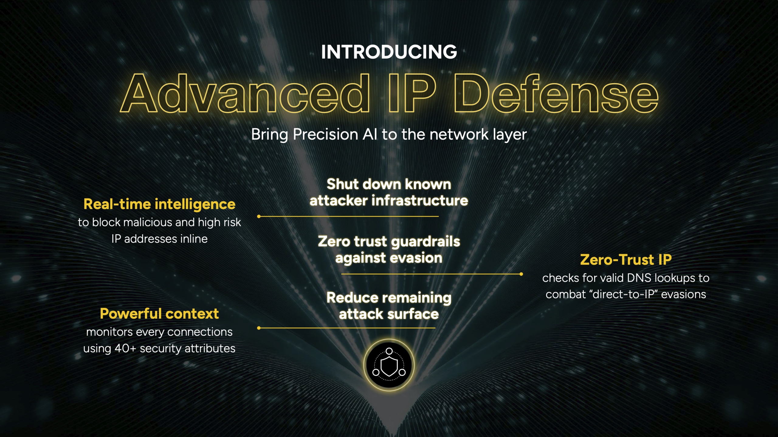 Advanced IP Defense