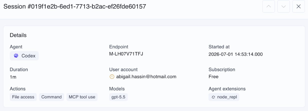 In Depth View of Personal Account Usage for Codex