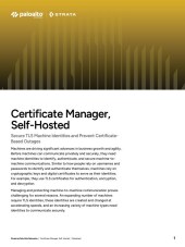 asset pdf thumbnail