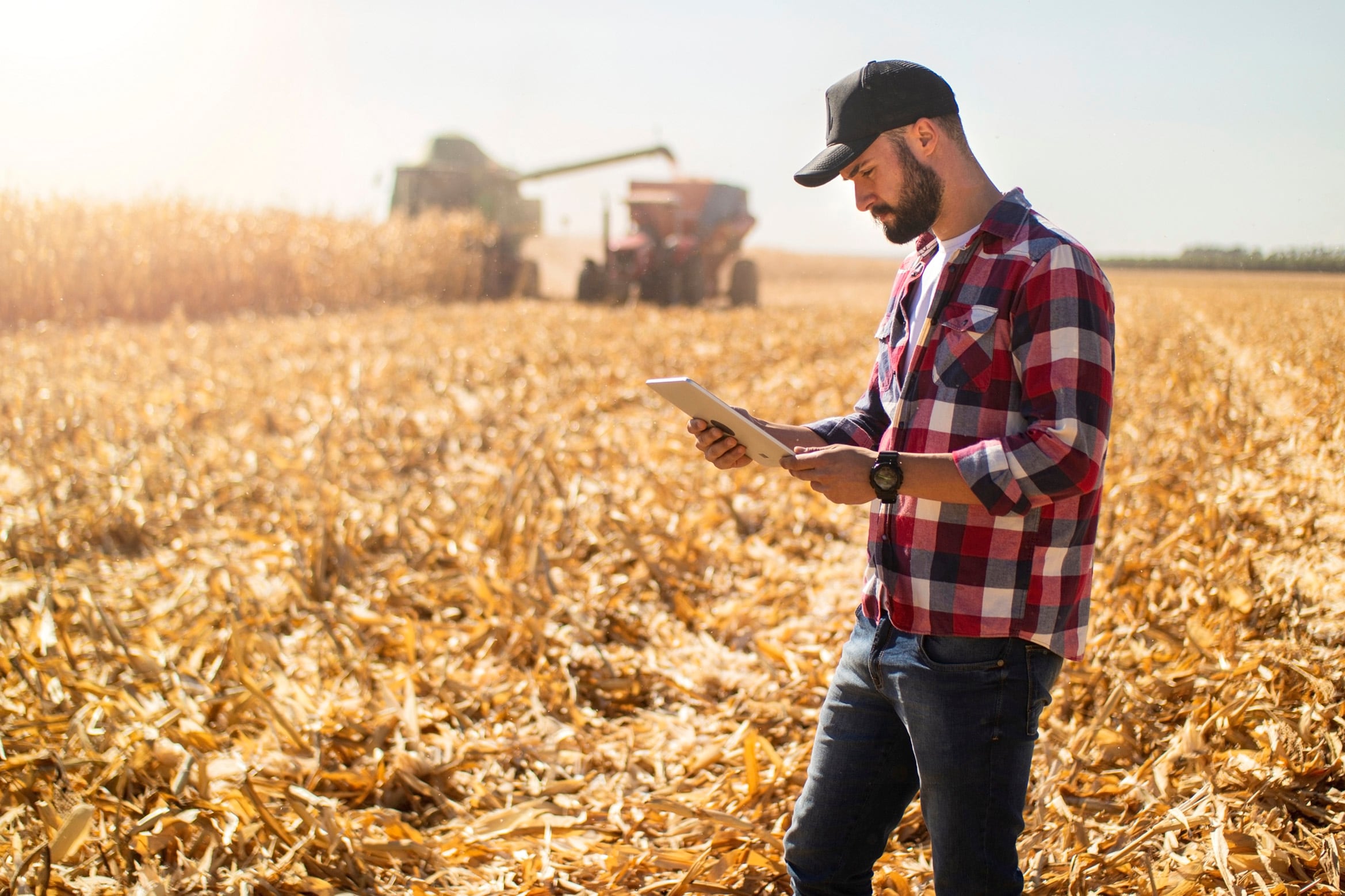 Agriculture case study