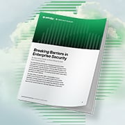 Executive guide