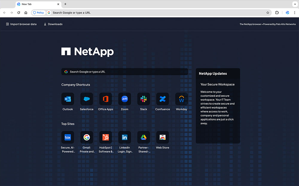 netapp browser theme